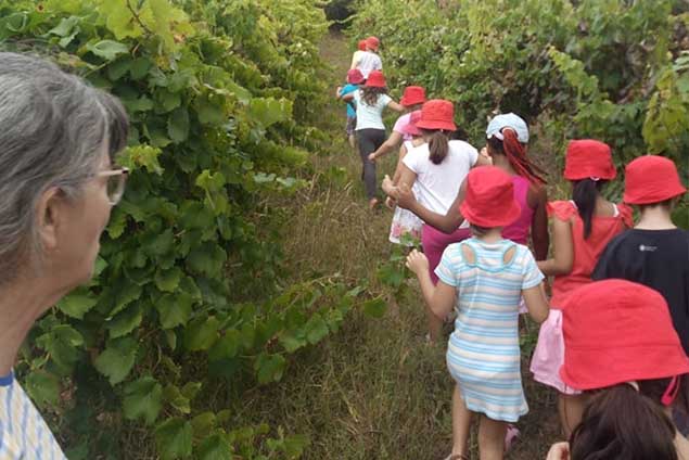 Centro Social de Castelo VIegas